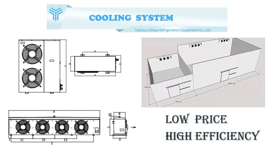 Beverage/Fruit and Vegetable Display Freezer Supermarket Commercial Refrigeration Equipment Vegetable Preservation